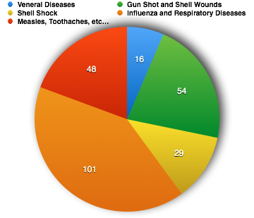 PIE chart of different diseases and injuries seen in the transcribed medical case sheets